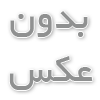 غذای سگ؛ هر آنچه باید بدانید